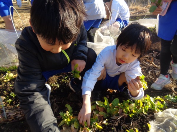 七草がゆで元気いっぱい！