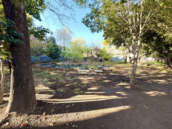 進級おめでとう。